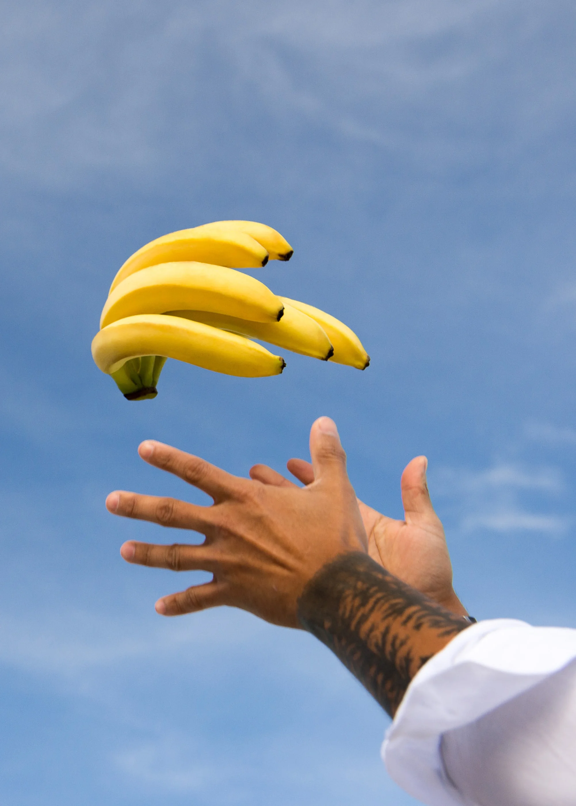 GO<br>BANANAS