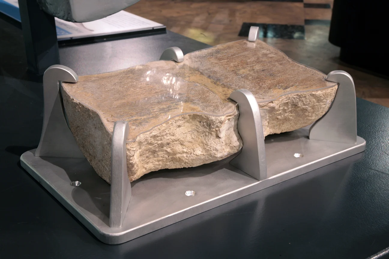 fossil whale vertebra fixture copy.JPG