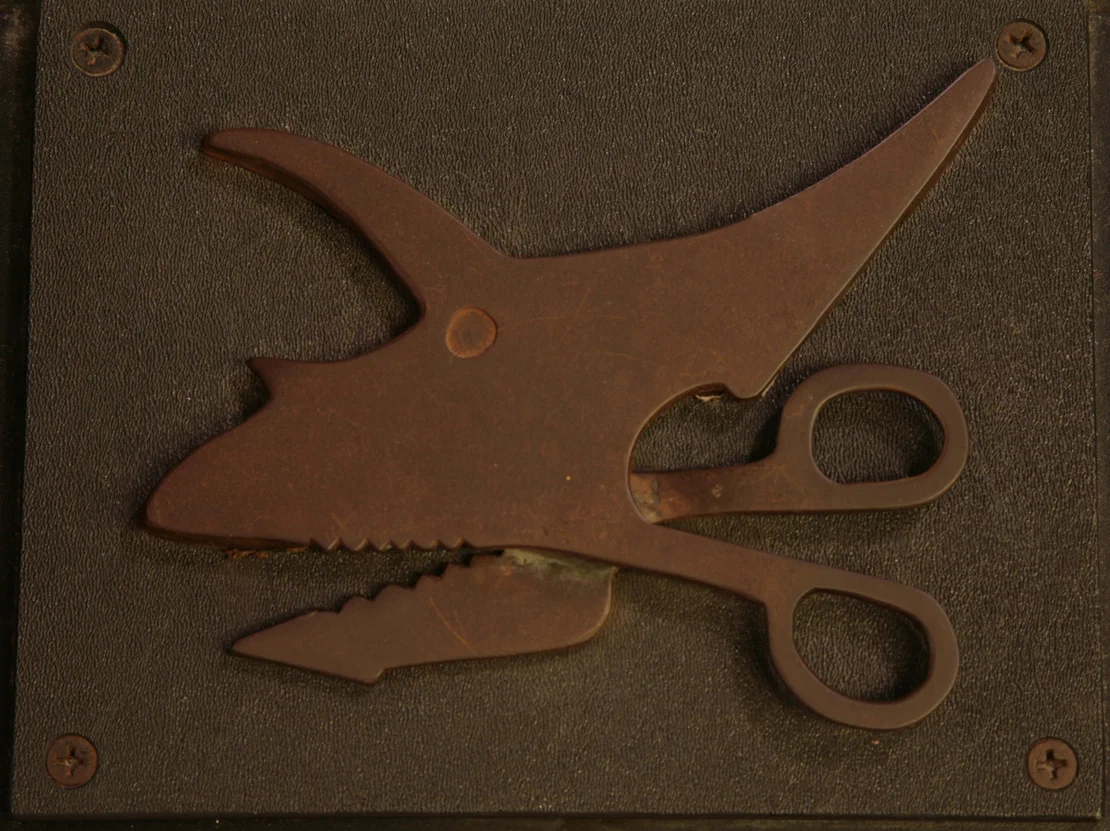 it's jaws cut like scissors copy.JPG