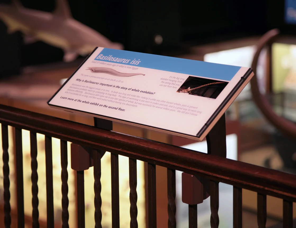 railing brackets front copy.JPG