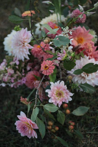 peach with zinnias.jpg