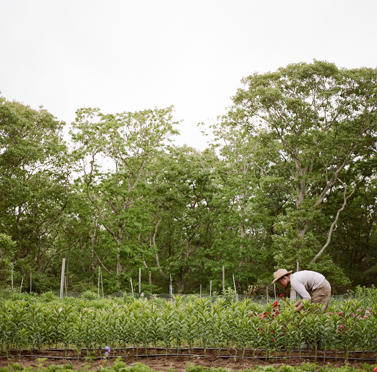 20120601ma_nsl_film-4-2-1.jpg