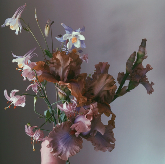Screen Shot 2019-05-01 at 2.20.30 PM.png