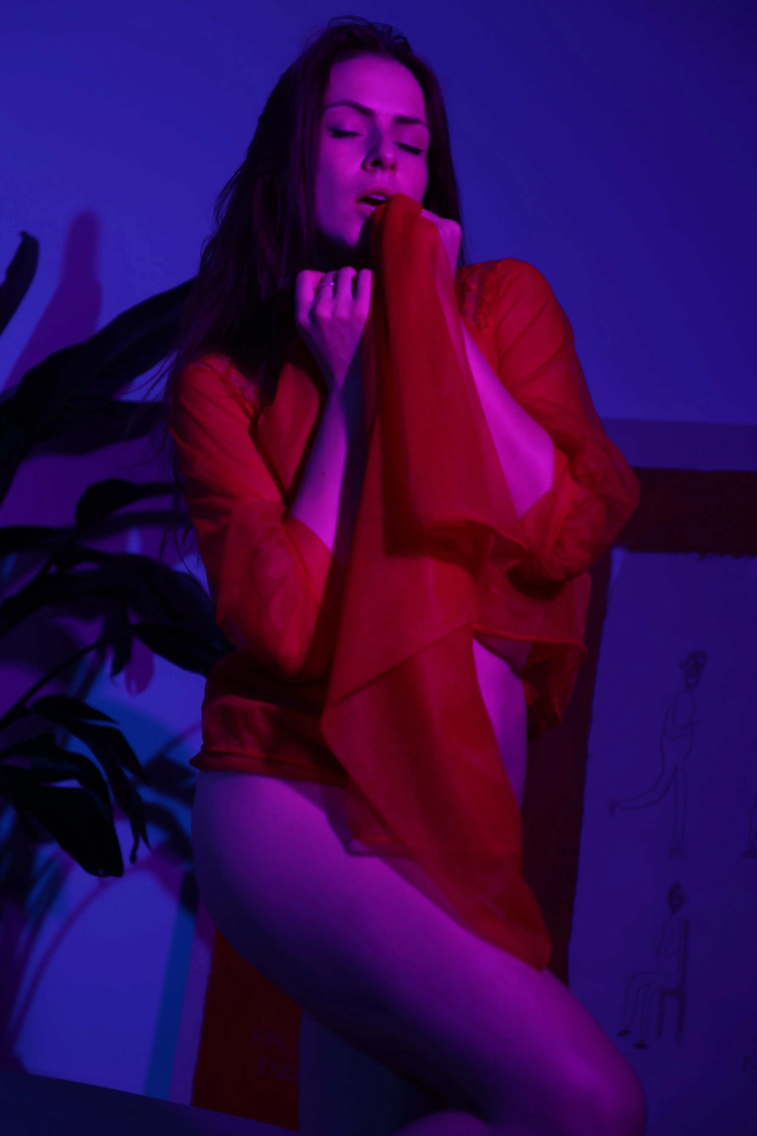 S1__3946.jpg