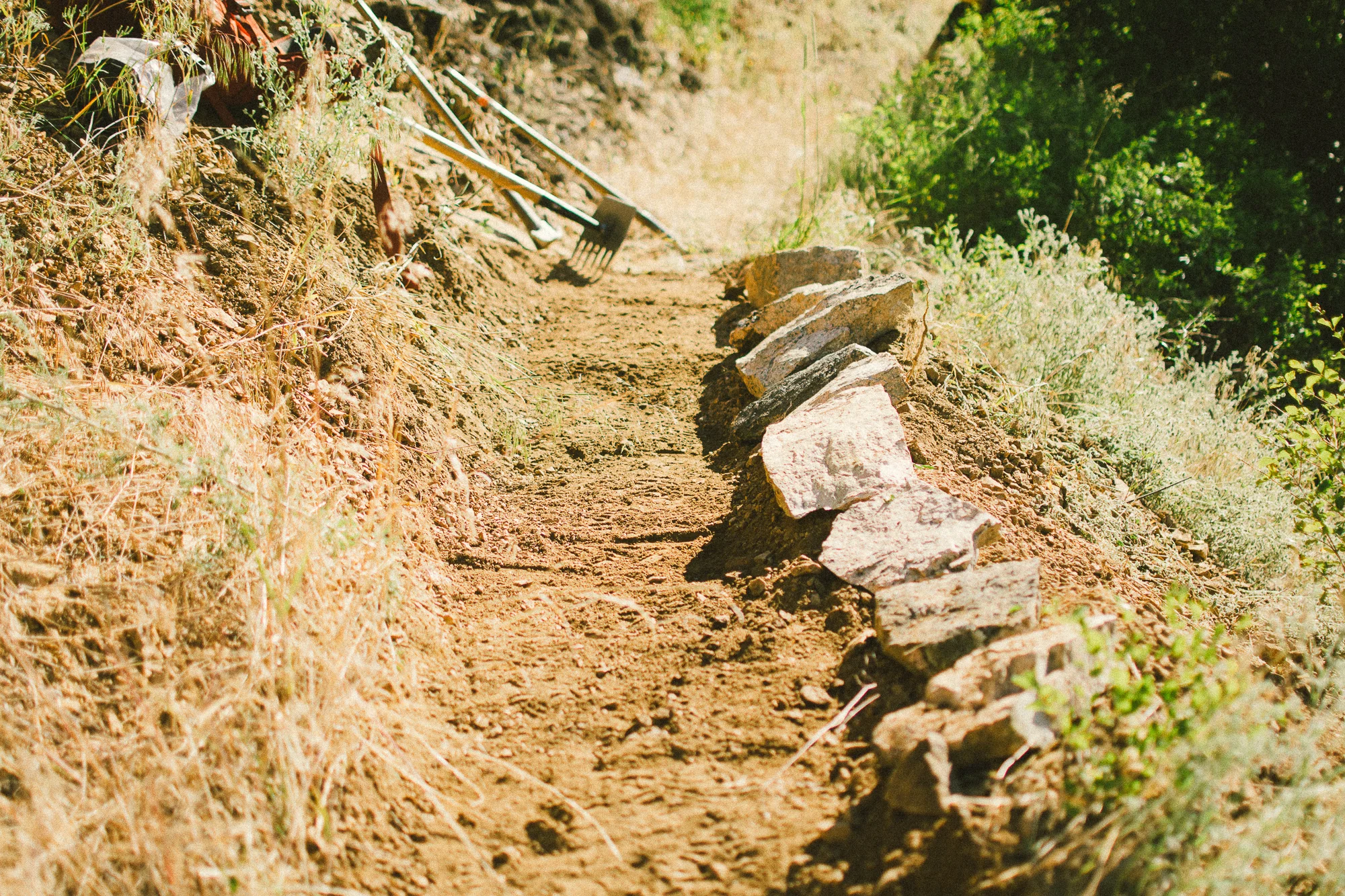 Running Creek-38.JPG