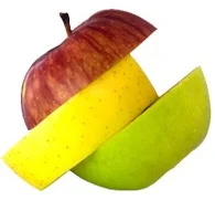 Segmentation.jpg