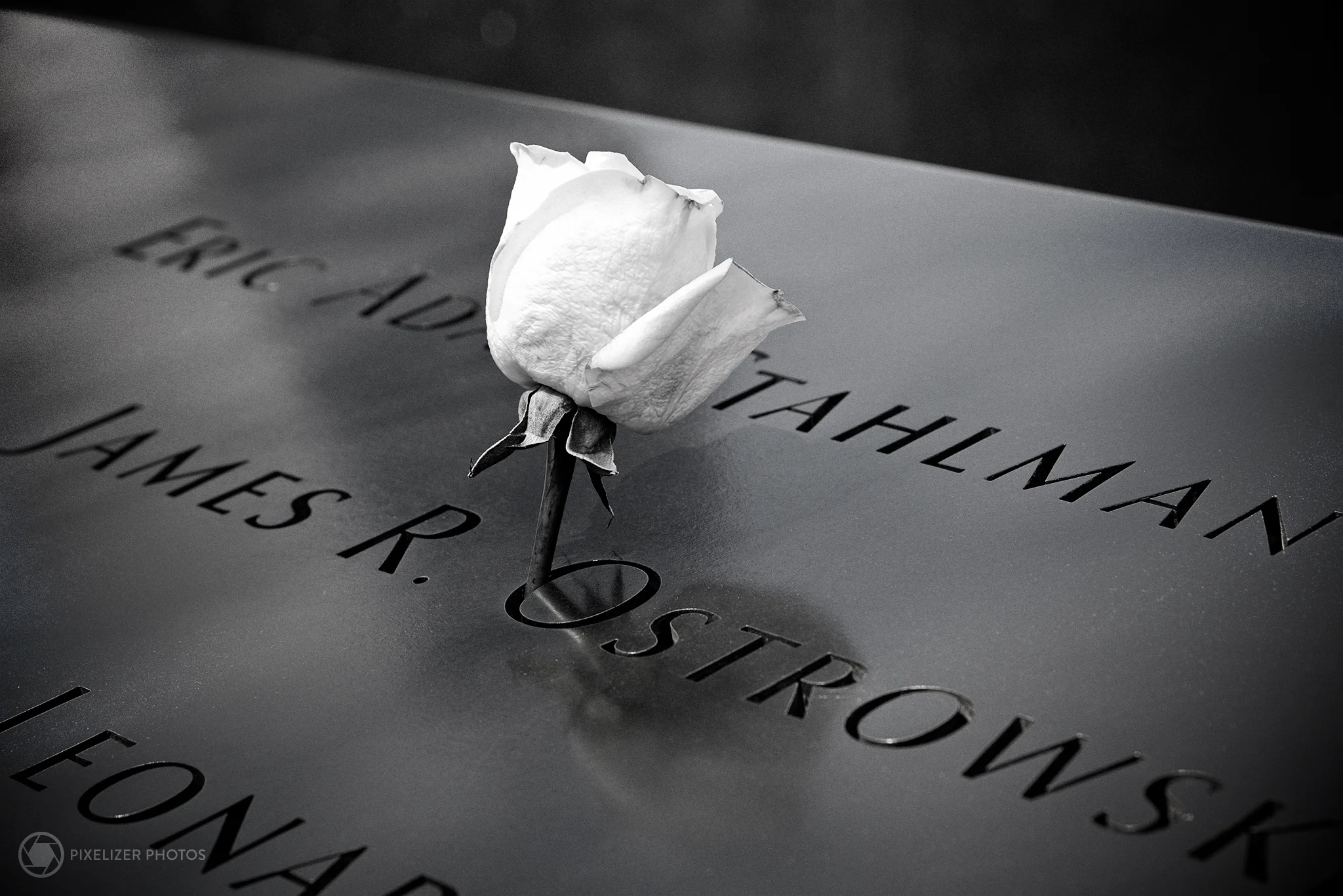 PP_Memorial_2015_W.jpg