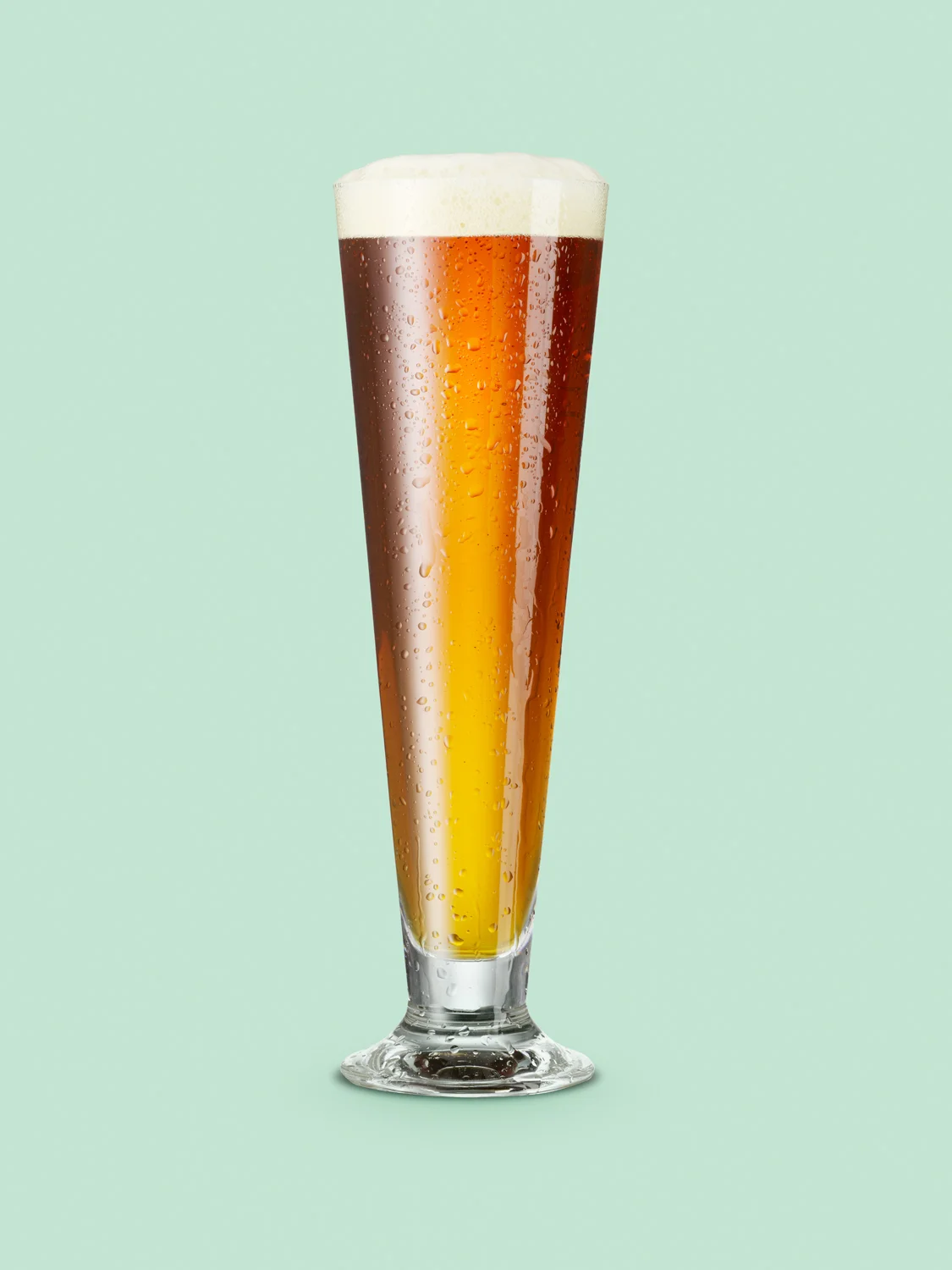 BEER BUDDY