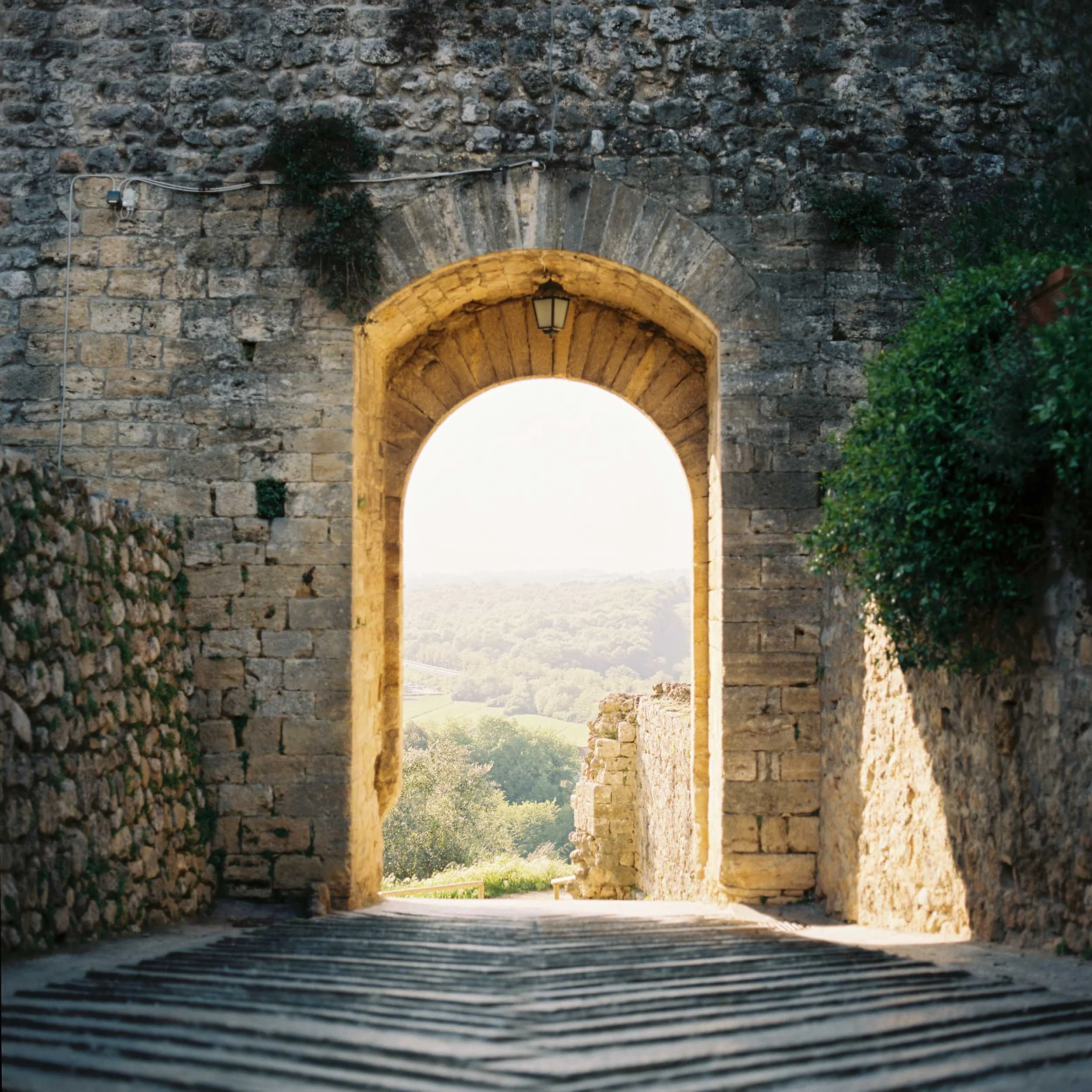 IT16_160426_PORTRA400_HB_03.jpg