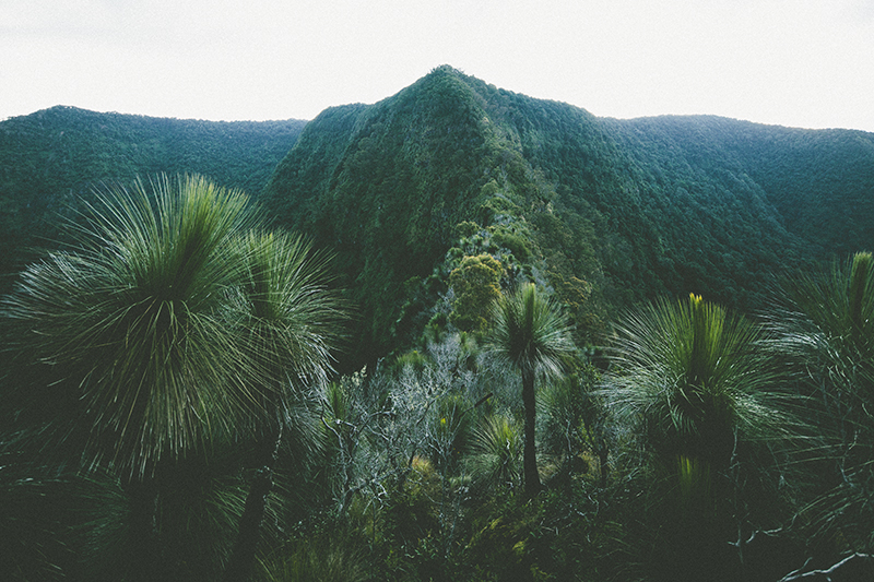 Mountains_0155.jpg