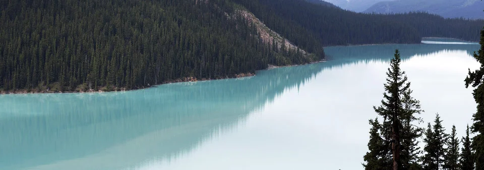 peyto_glacier.jpg