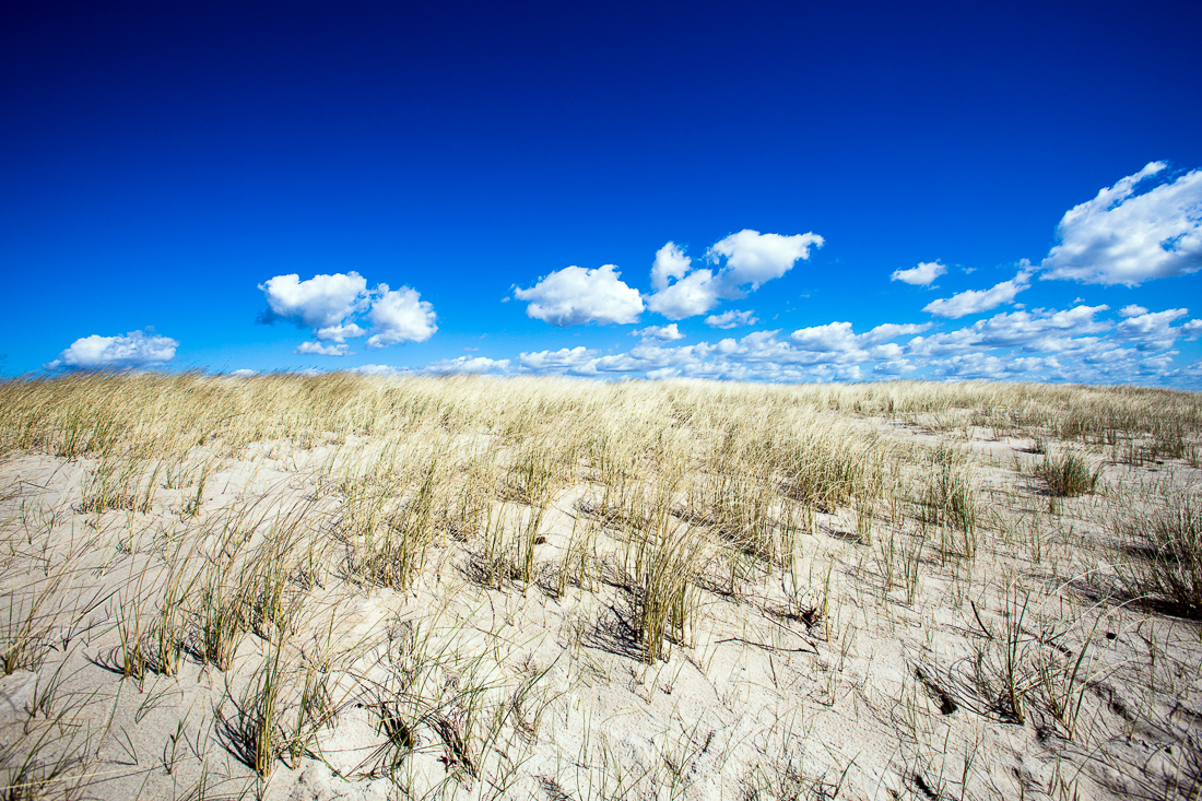 Sand Dunes and Blue Skies