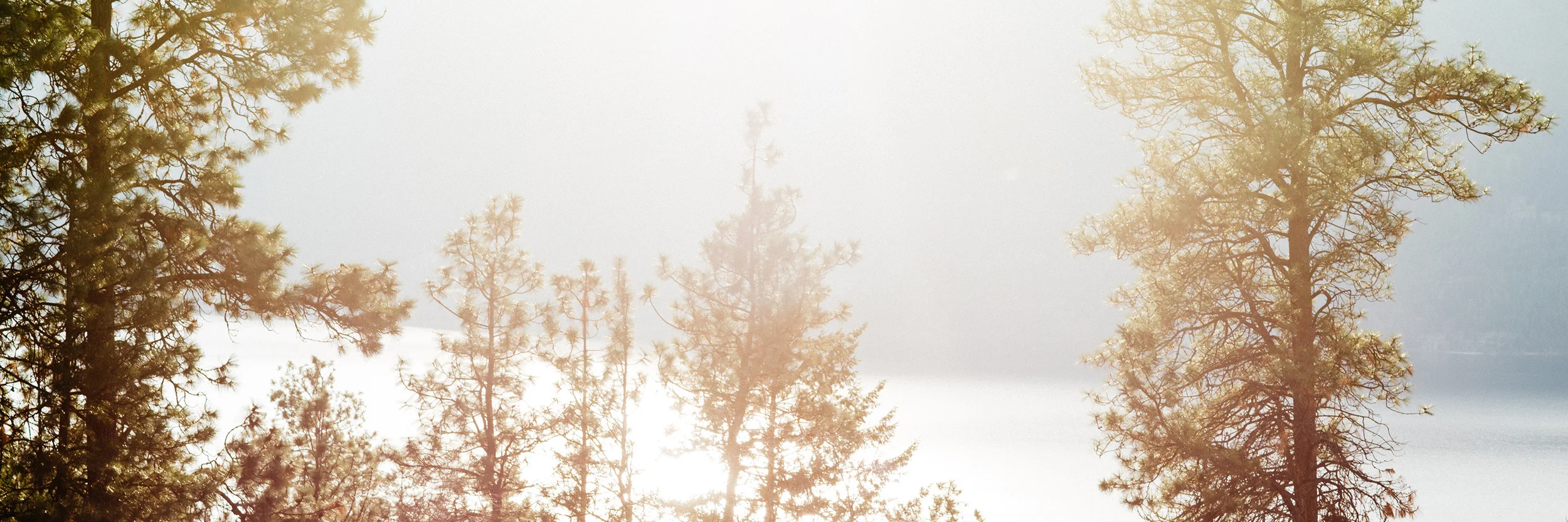 Ex Nihilo Vineyard and Arrowleaf Cellars Fall Picking