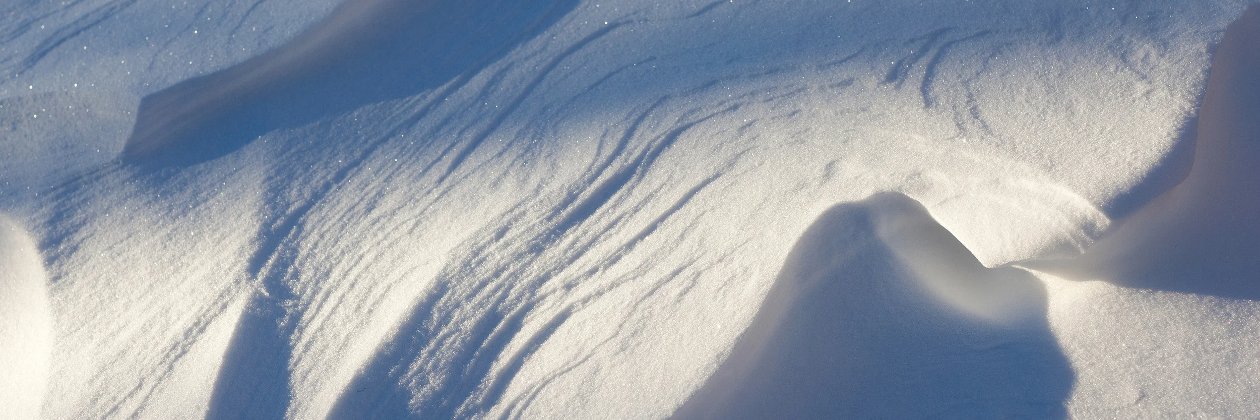 Photo Exhibition - Vance Creek Hotel