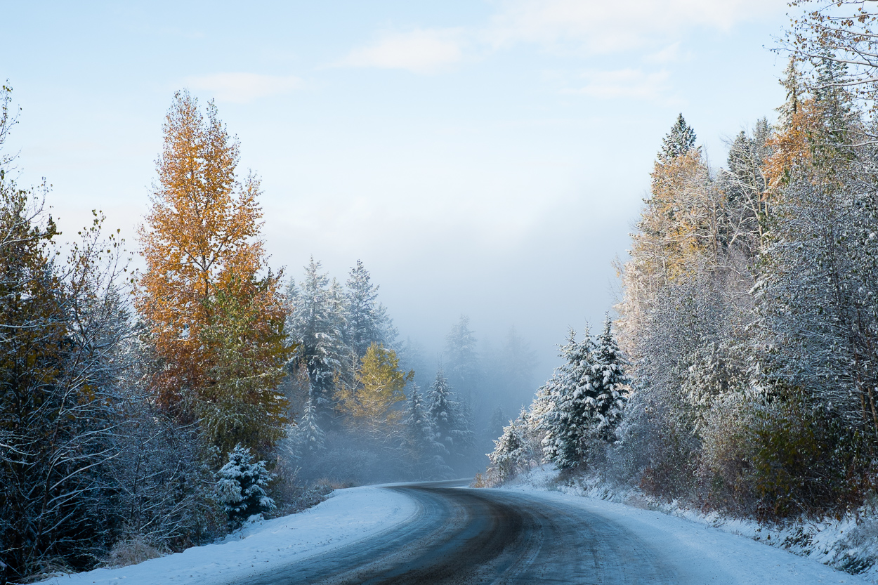 Winter day at Silver Star Road