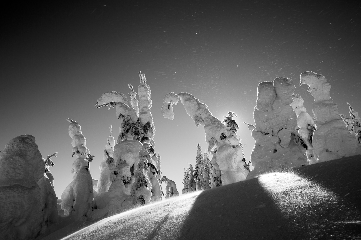 Snow ghosts at the summit of Silver Star Moutain