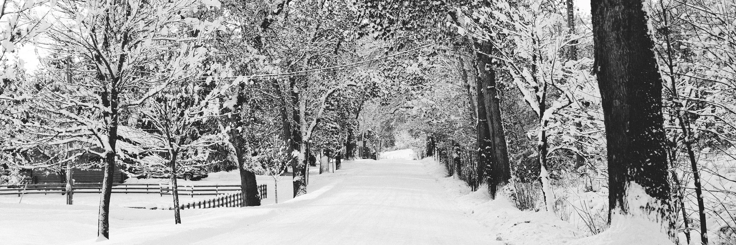 Happy New Year and a New Lens