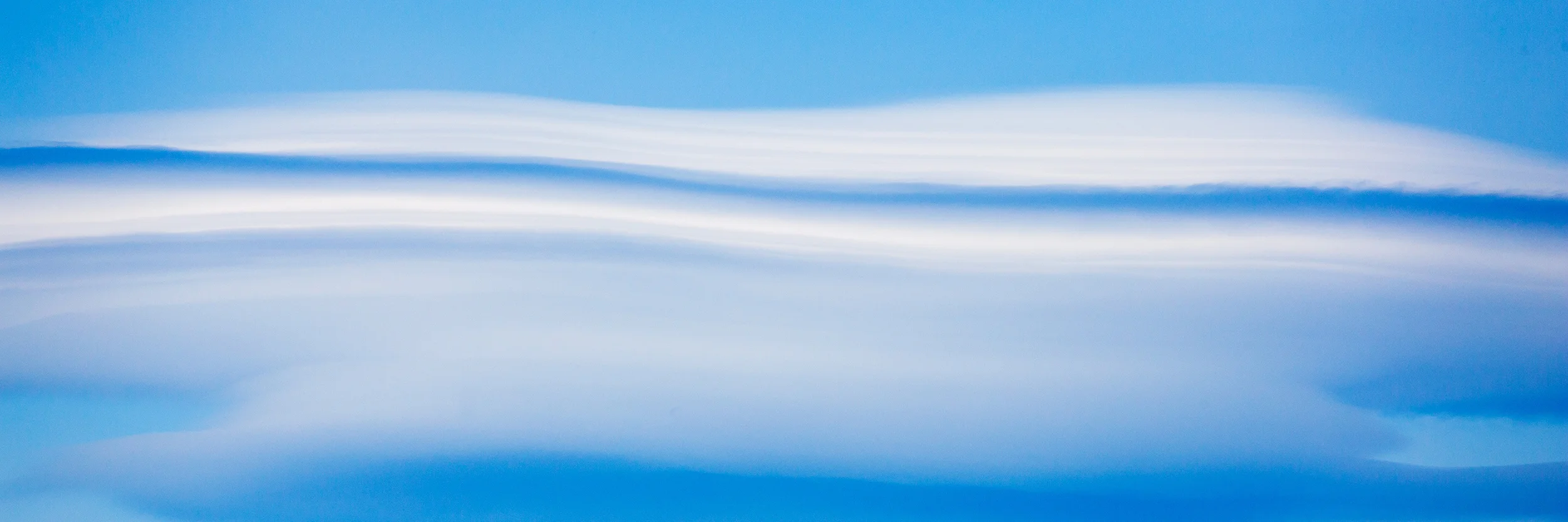 Osprey in Salmon Arm