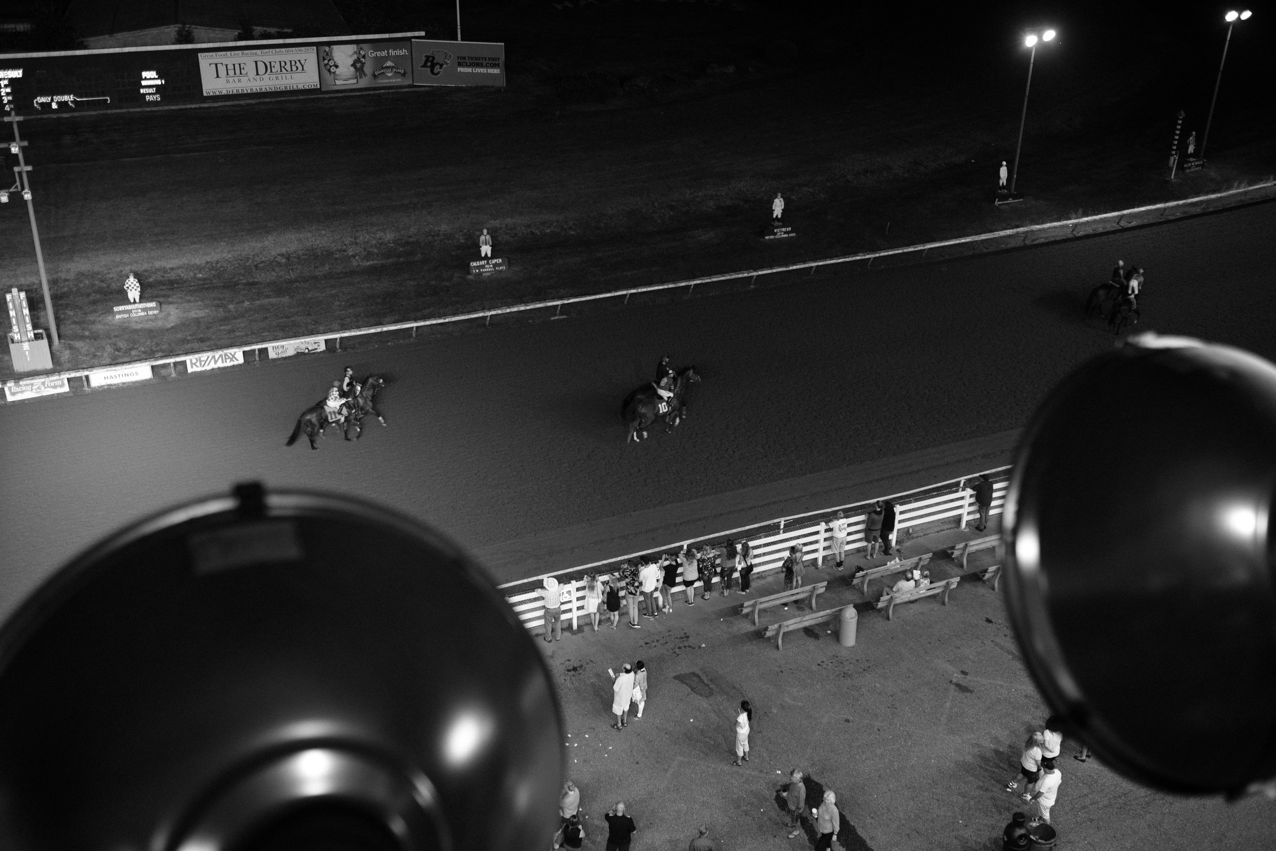 hastings_racecourse-0779.jpg