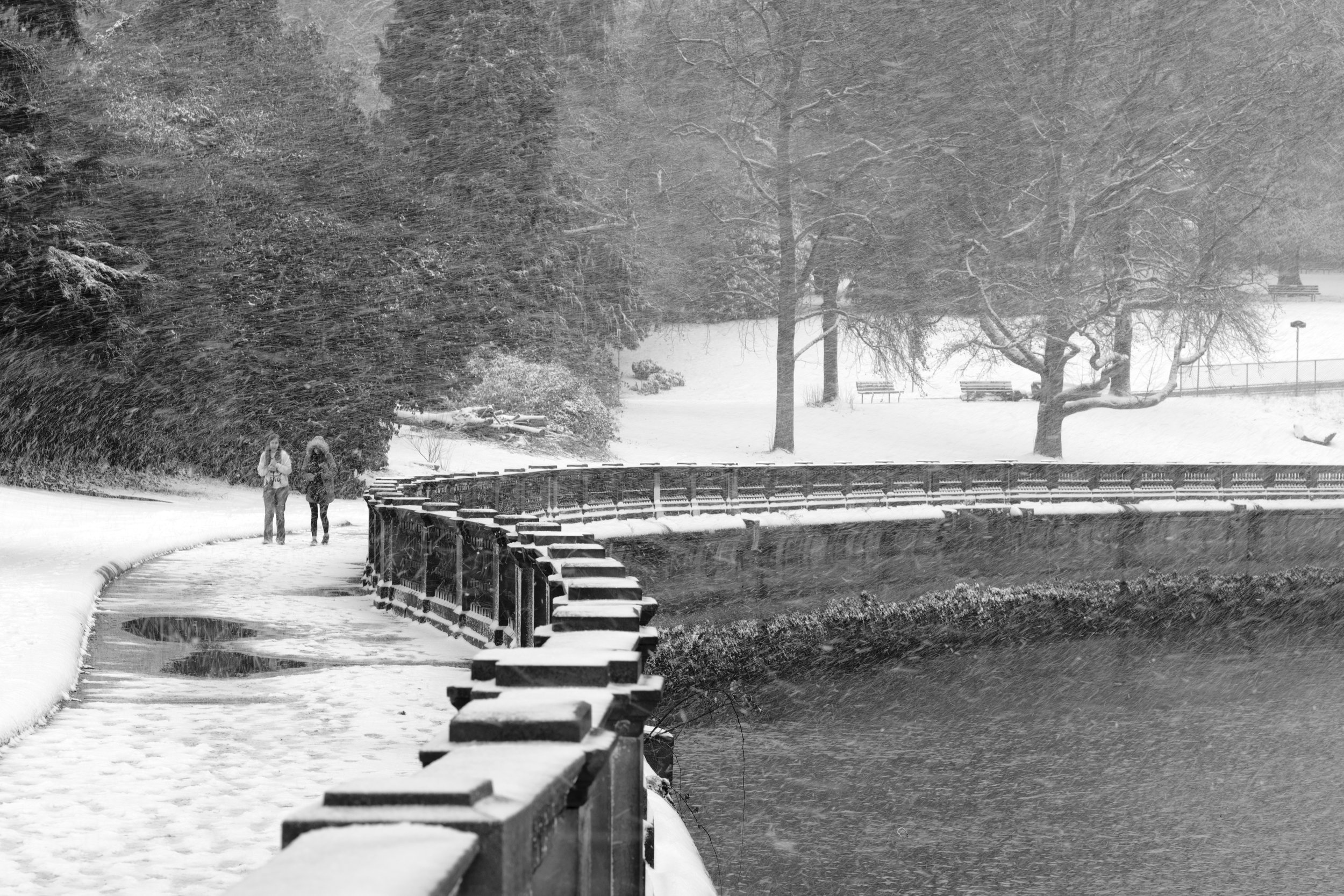 Stanley Park Seawall at Coal Harbour during a snow storm