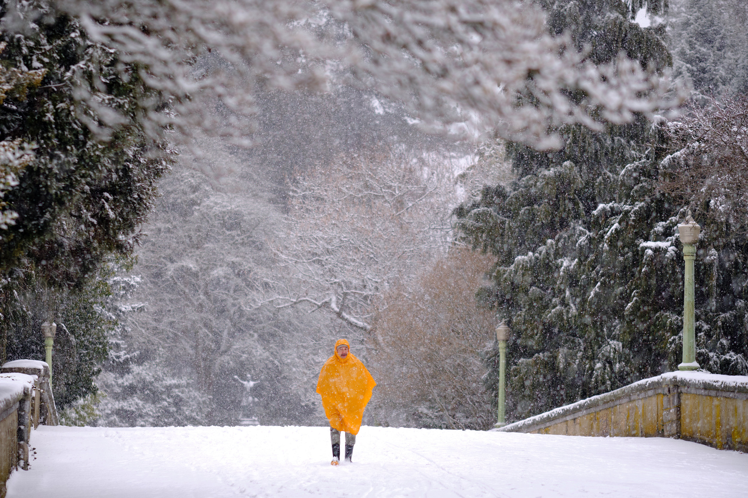 A snow storm hits Stanley Park in Vancouver. A man in a yellow rain coat walks on the bridge by Coal Harbour