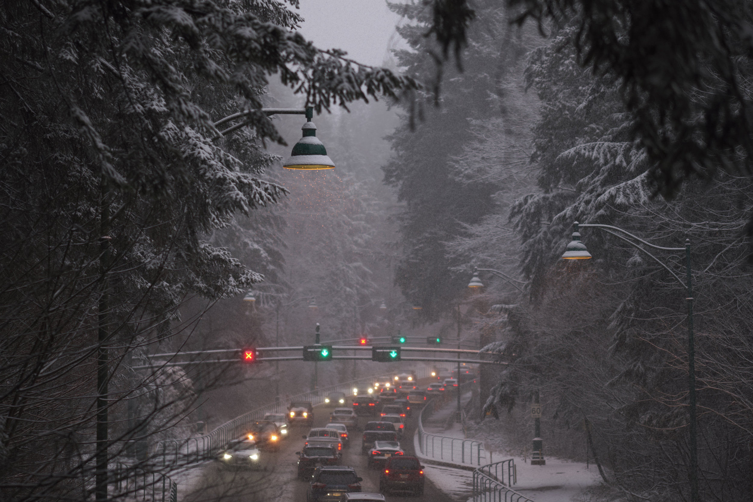 A snow storm hits Stanley Park in Vancouver. Cars are lined up to cross the Lions Gate Bridge