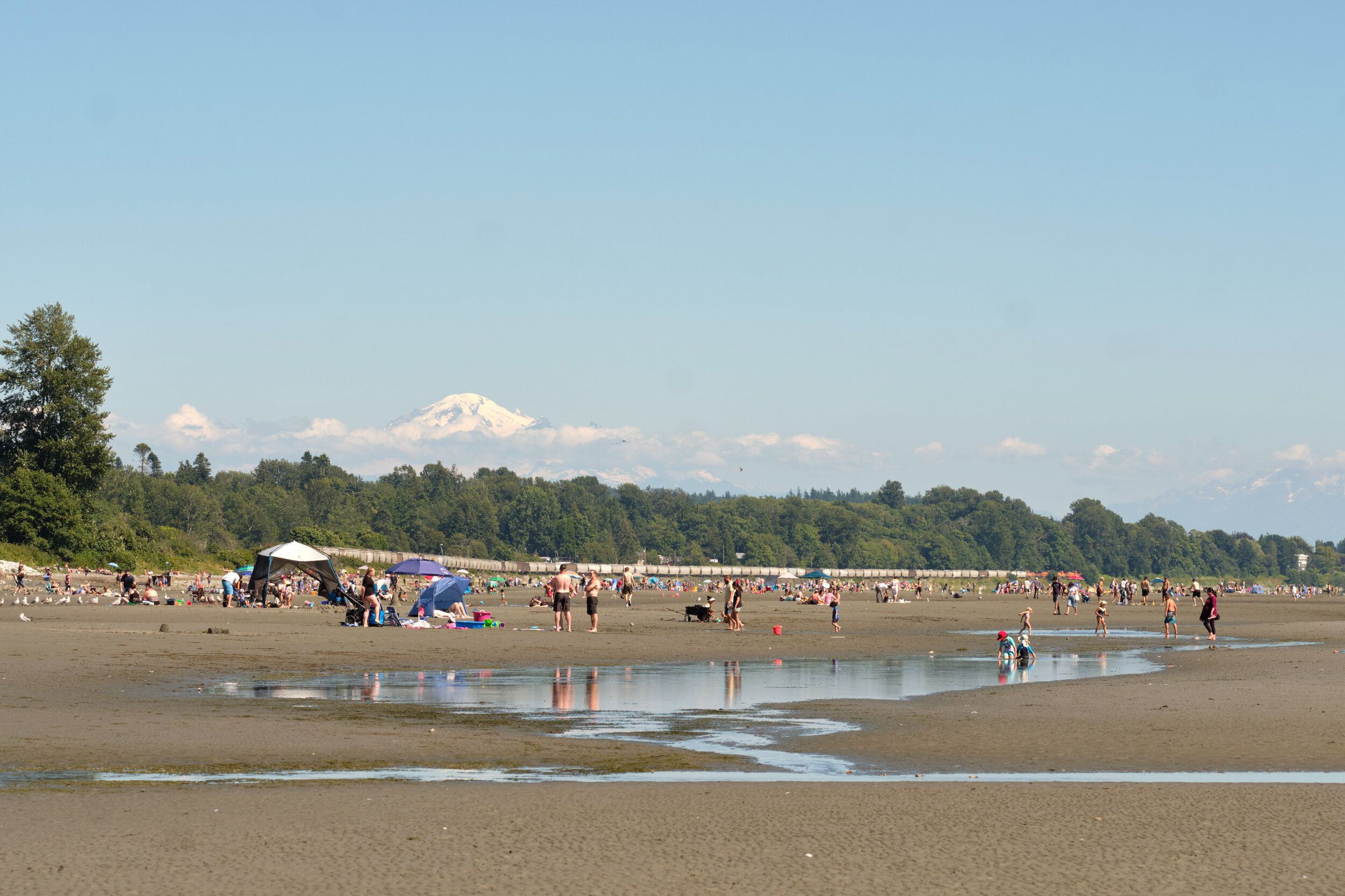 White Rock beach on a summer days with big crowds and Mt. Baker in the background