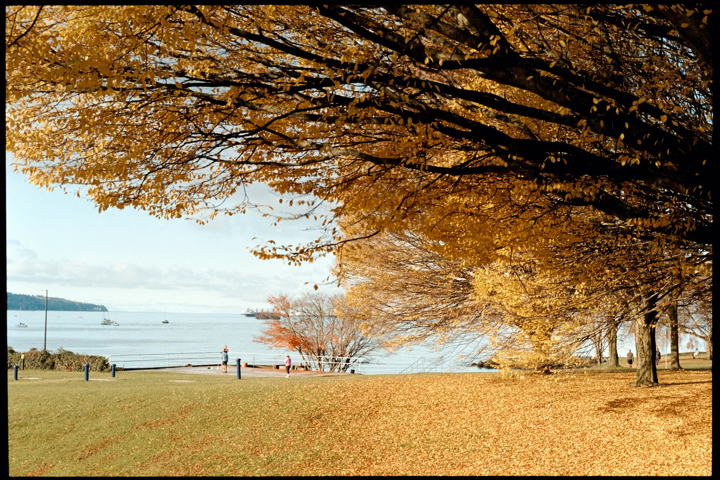 Fall colours at Sunset Beach in Vancouver. Sample image from a Nikon EM and Kodak Gold 200