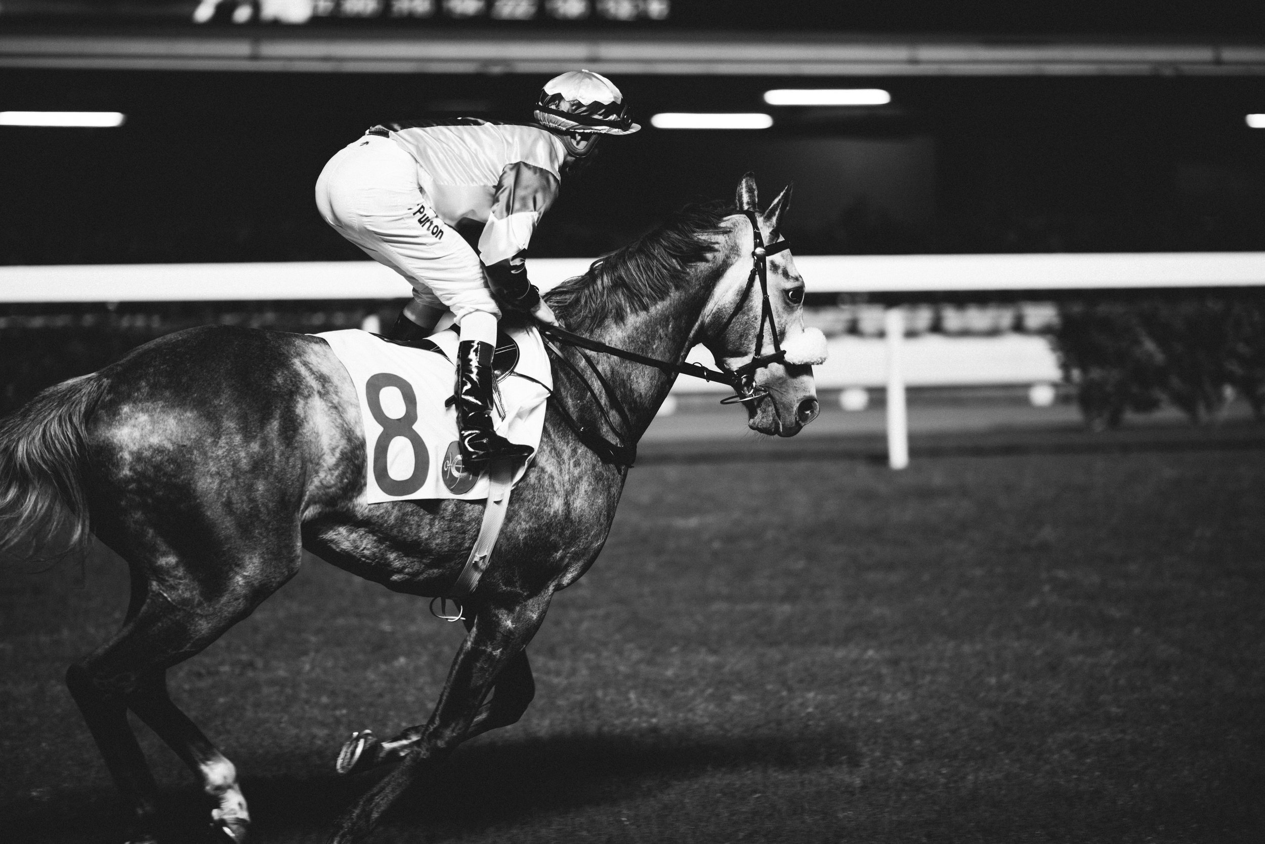 Horse Racing at the Hong Kong Jockey Club