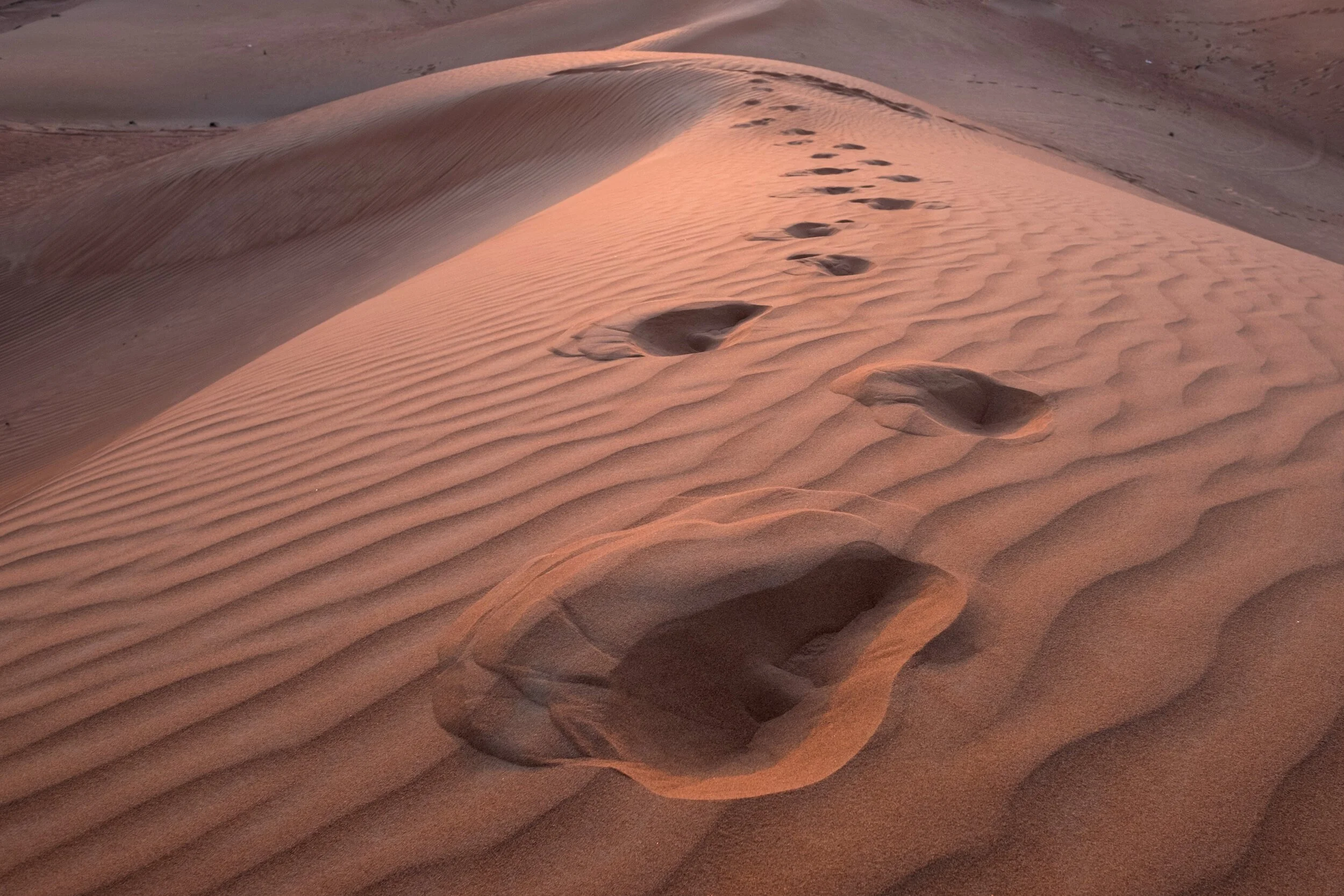 Day Trip to the Al Ain Desert in the United Arab Emirates