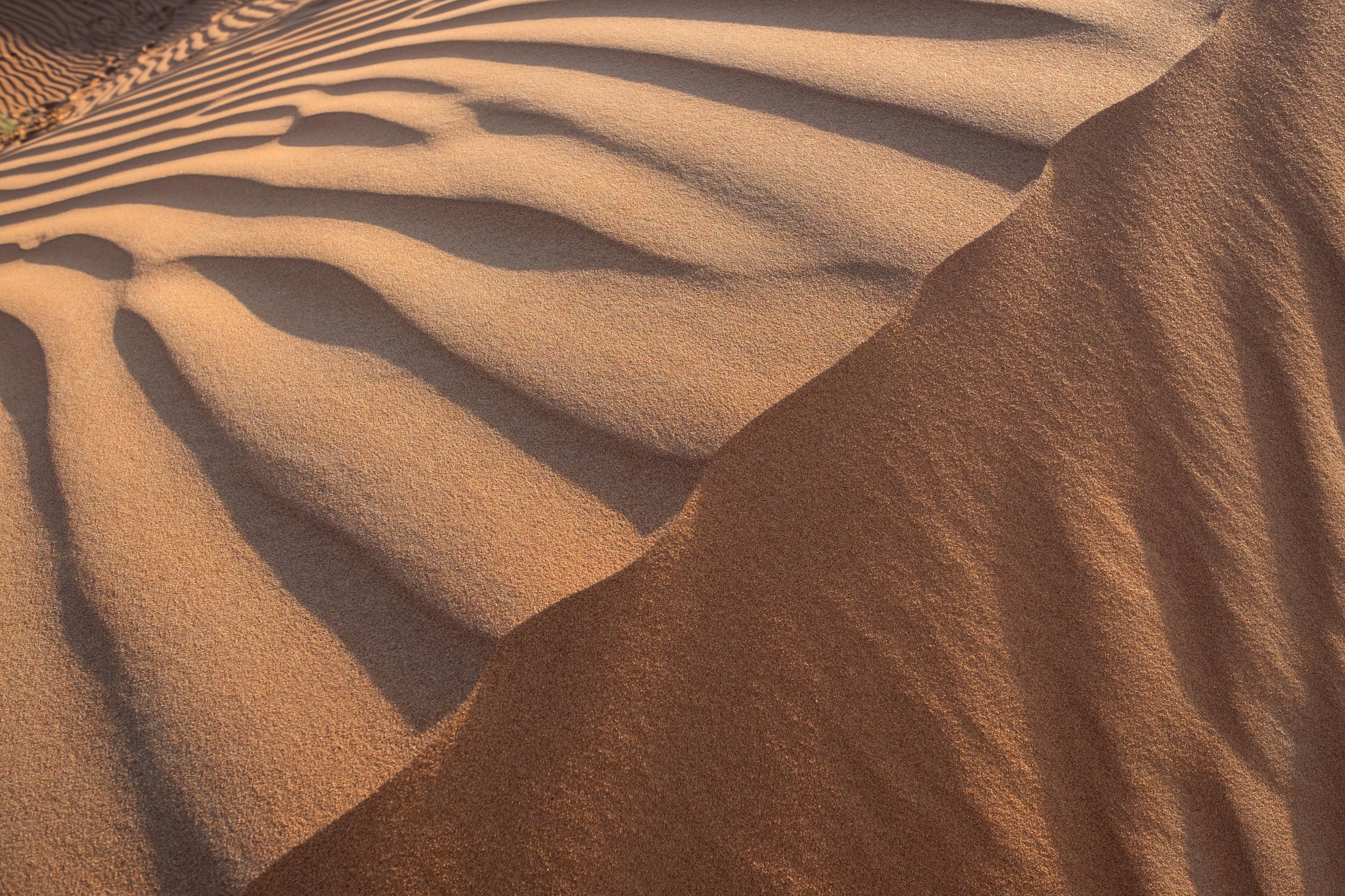 Patterns in the desert