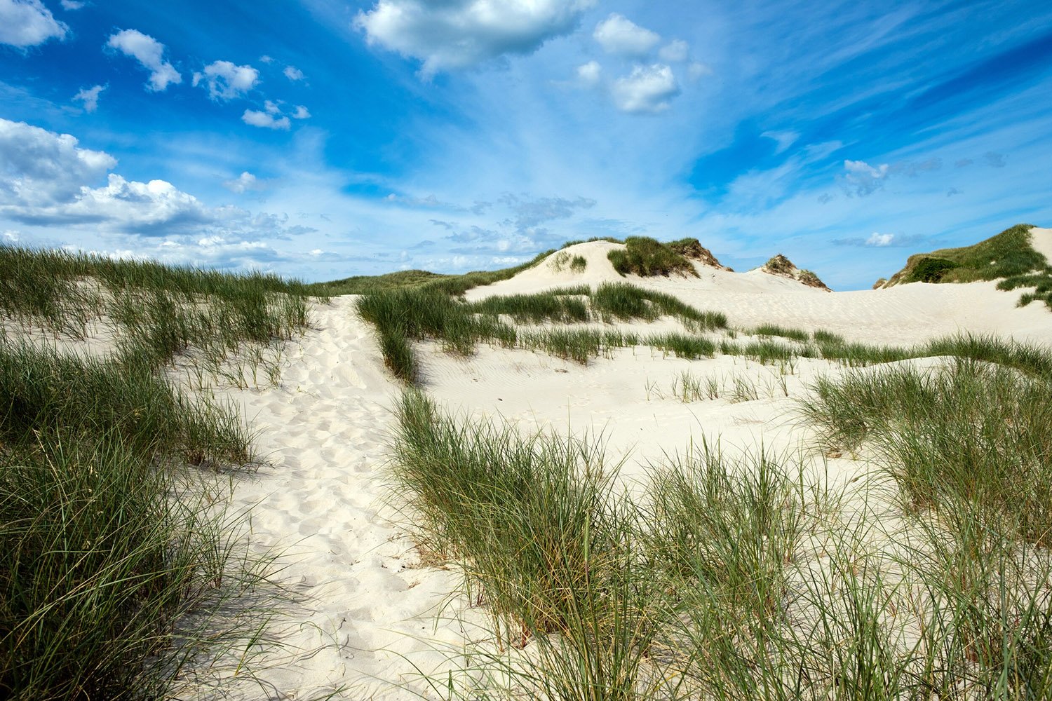 The Sand Dunes leading to the beach at Bjerregaard, Denmark