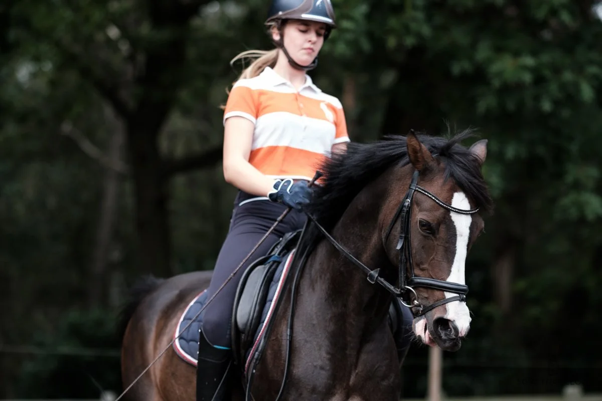 Equestrian in Kapellen