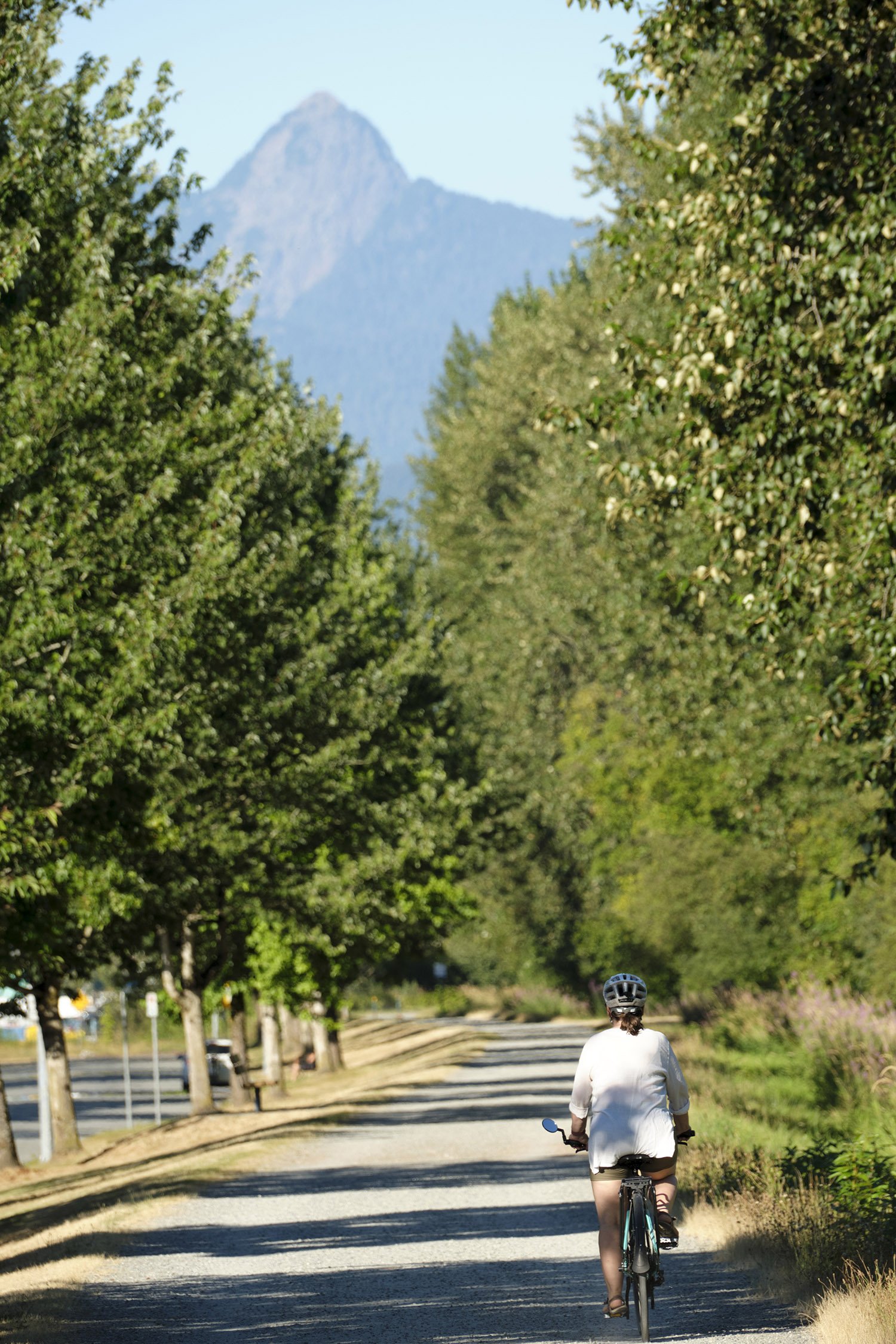 The trails along the Fraser River