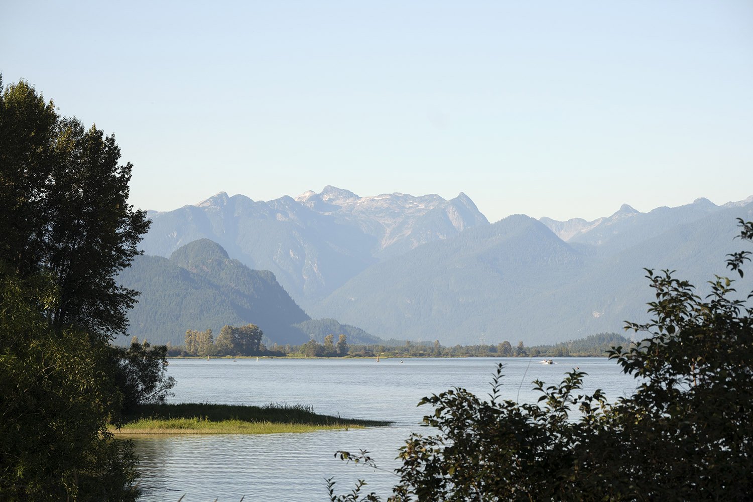 Views at the Pitt River toward Golden Ears Provincial Park