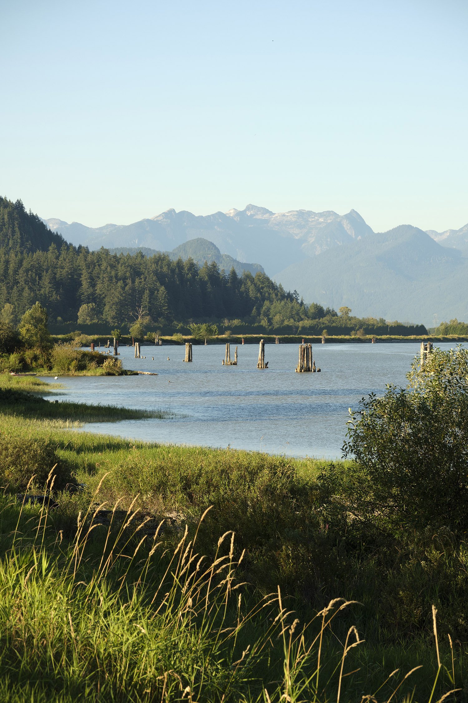 Pitt River and Golden Ears Provincial Park