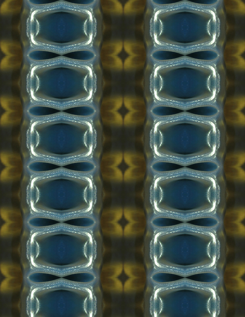 02_OPAL.jpg
