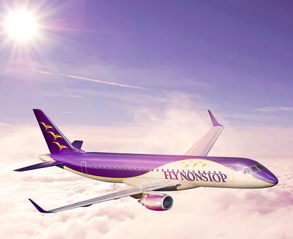 Flynonstop.jpeg