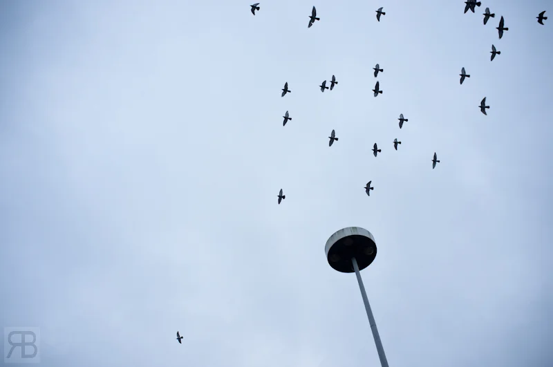 27122012_X100Day2_WrkStreet_0159_010_WebWM.jpg