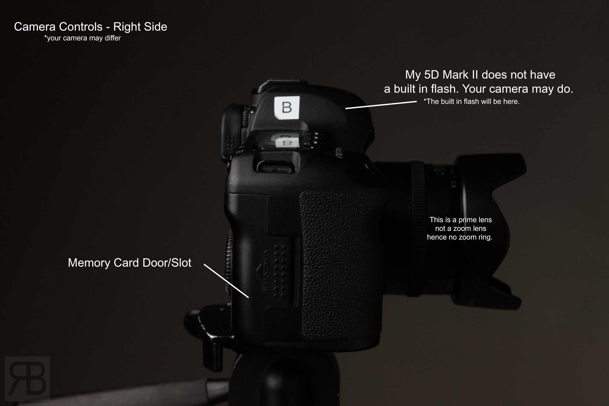 Side of camera card slot