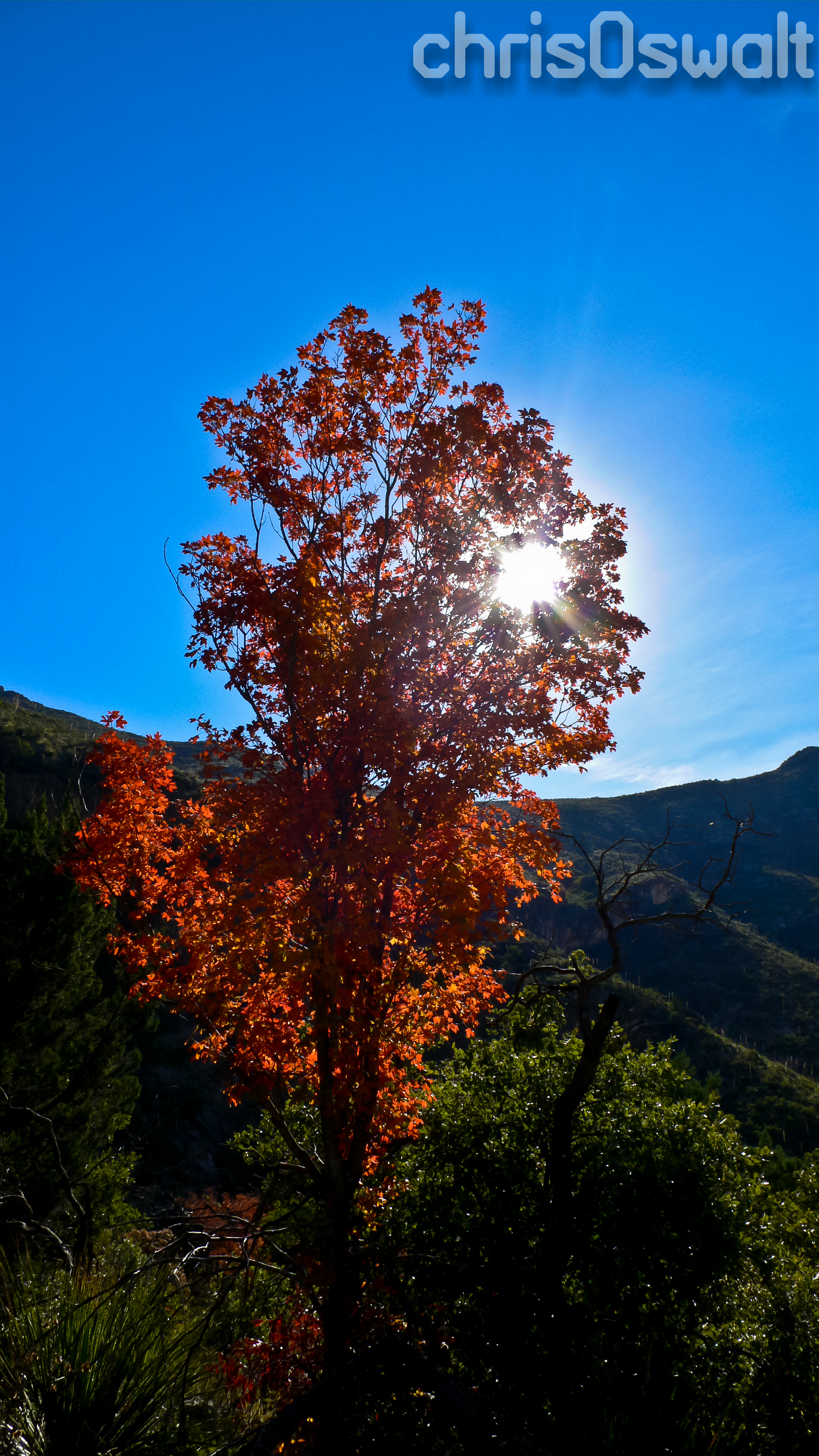 Fall in Texas