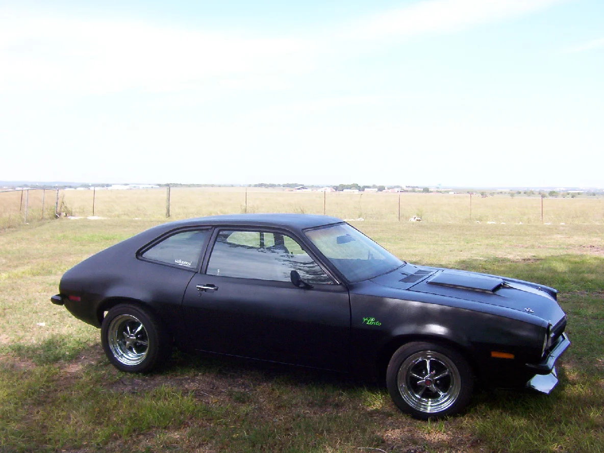 Pinto 003.jpg