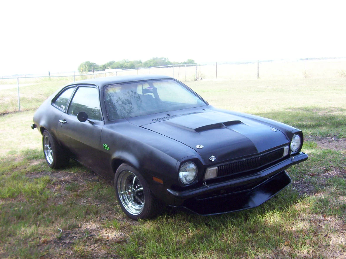 Pinto 004.jpg