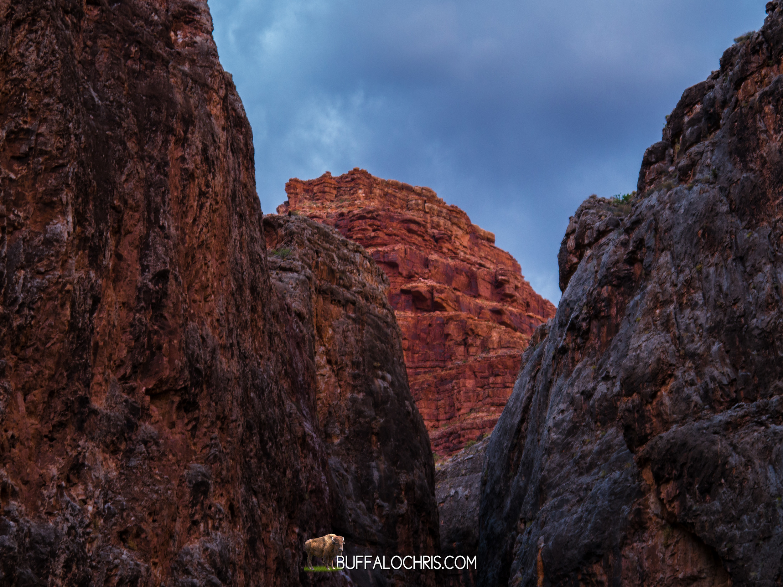 HavasuFalls-208.JPG