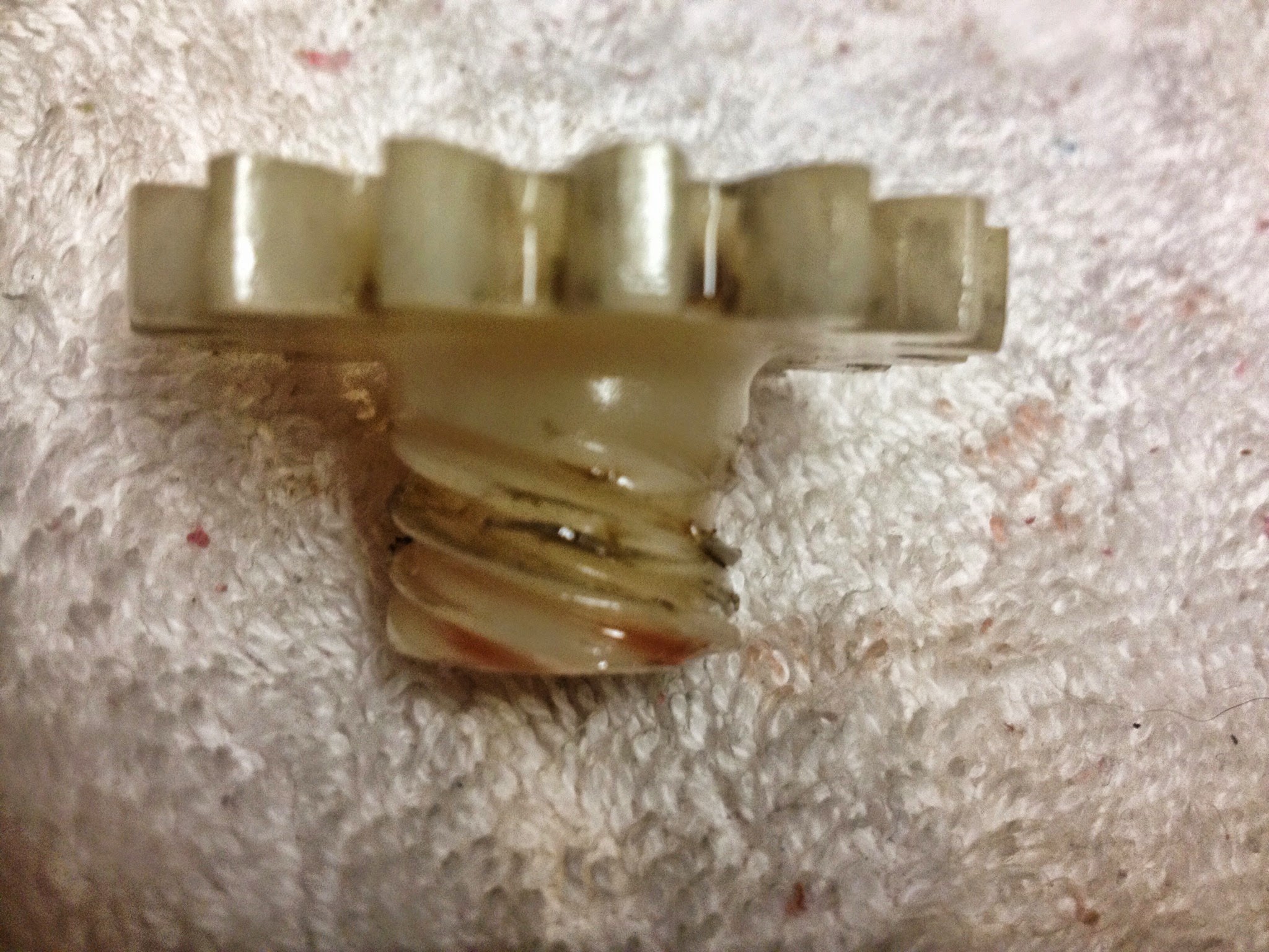Stripped worm gear