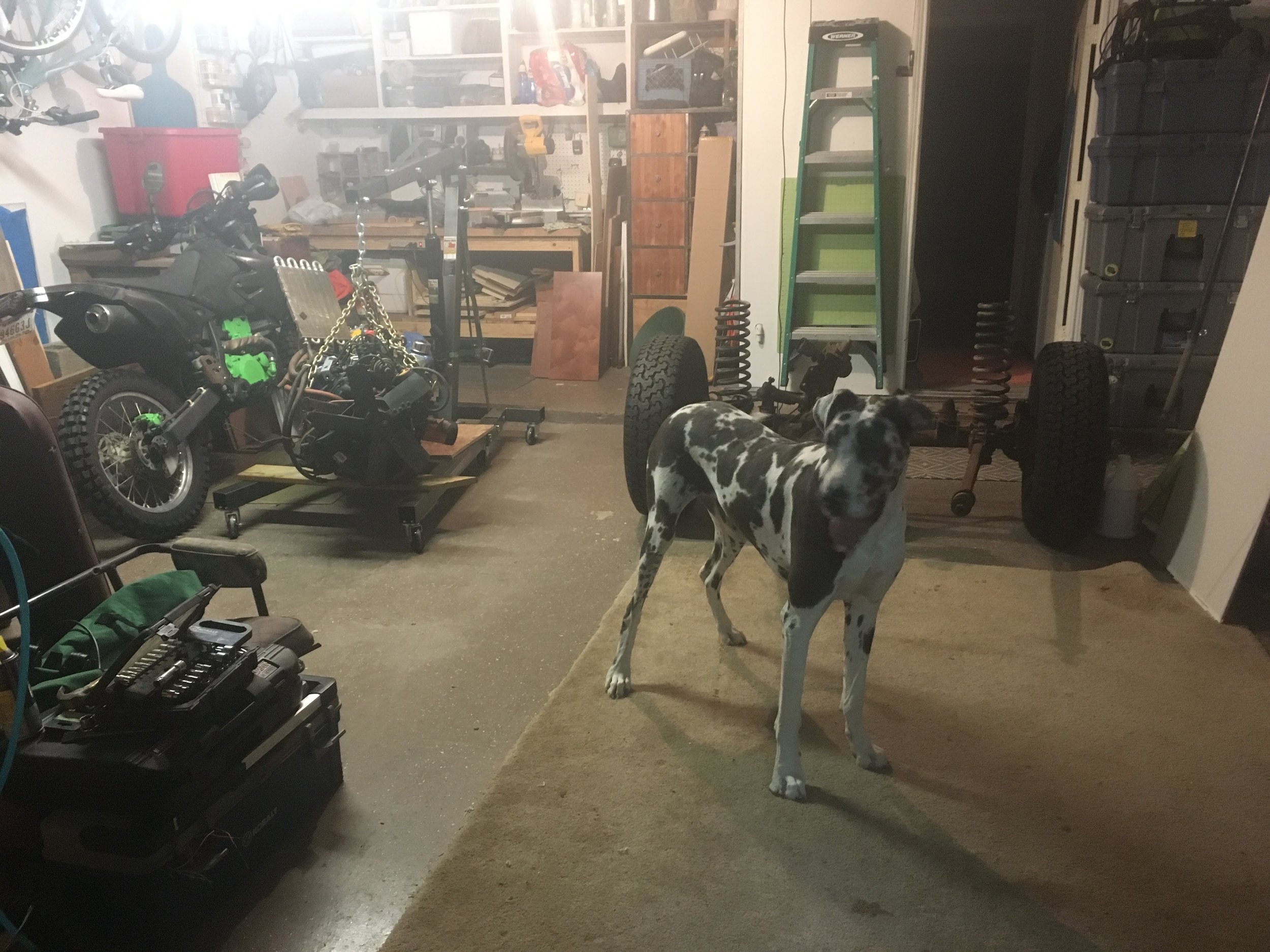 KLX, 302, Dana 30 Axle, Big Dog.