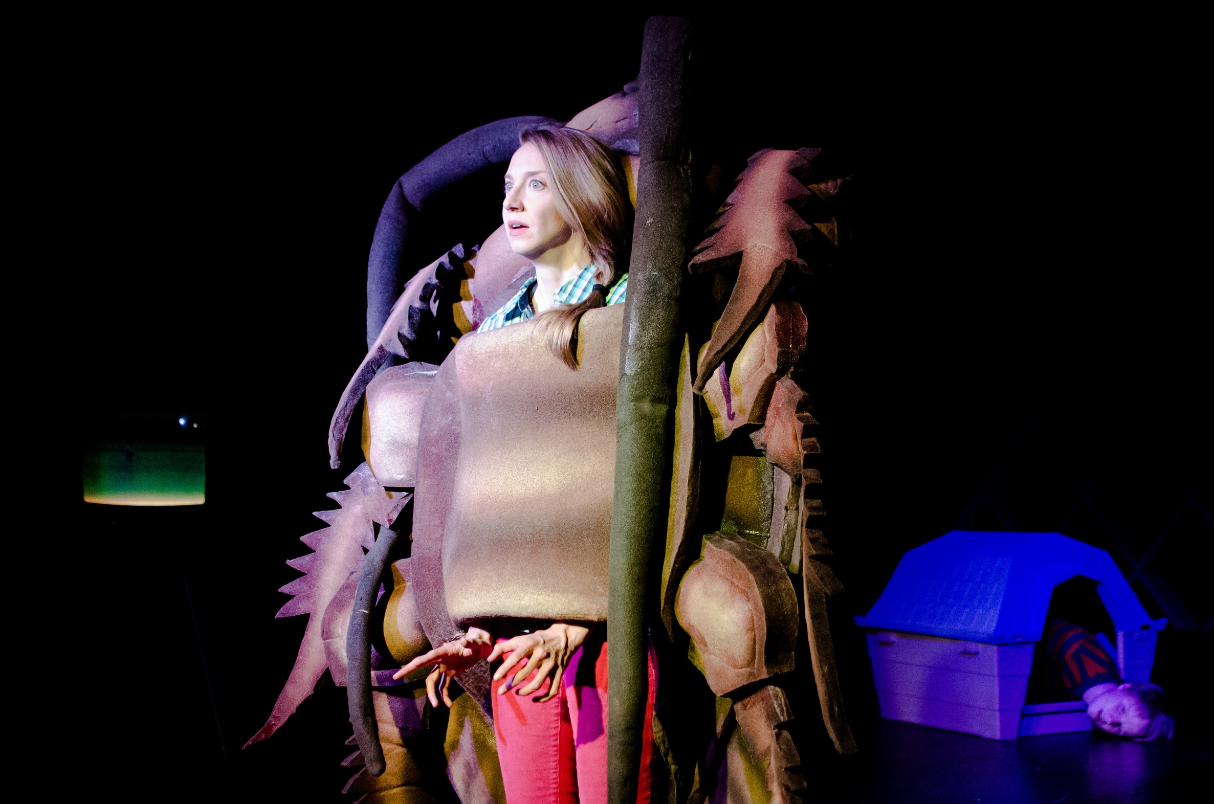 THIS AUNT IS NOT A COCKROACH, 2016