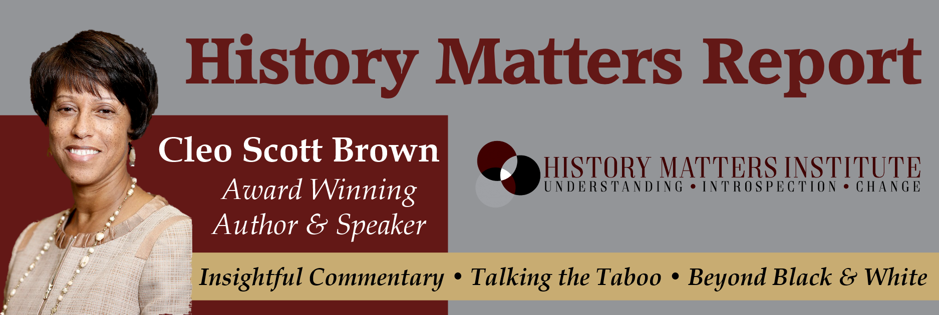 History Matters Report Banner.png