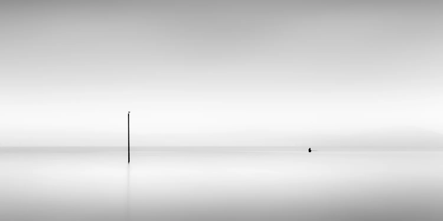 SEAGULL AND FISHERMAN, LAKE ROTORUA, 2012