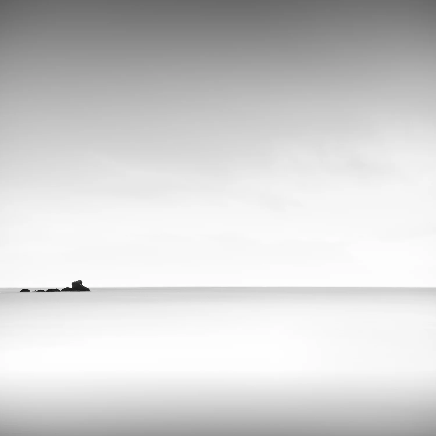 SEA MONSTER, BOWENTOWN, 2013
